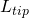L_{tip}